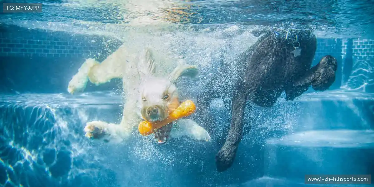 📺 一键直击，赛事瞬间零时差！